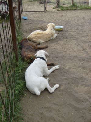 A teljes méretű képhez kattints ide