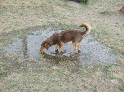 A teljes méretű képhez kattints ide