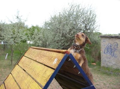 A teljes méretű képhez kattints ide