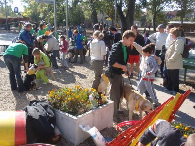 Натисніть, щоб побачити повний розмір