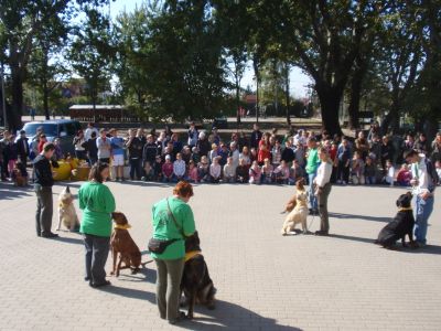 Натисніть, щоб побачити повний розмір