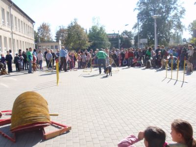 Premi per vedere l'immagine alla massima grandezza