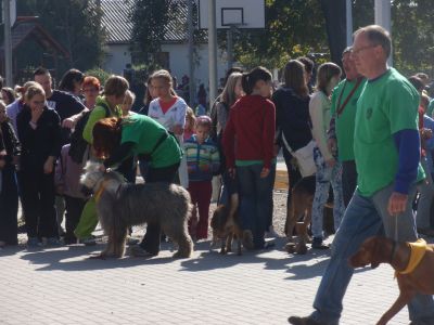 Klikkaa kuvaa nähdäksesi se täysikokoisena