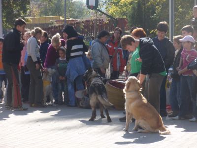 A teljes méretű képhez kattints ide