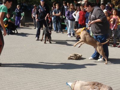 Hei klicken fir d'Bild an voller Gréisst ze gesinn