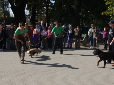 A teljes méretű képhez kattints ide