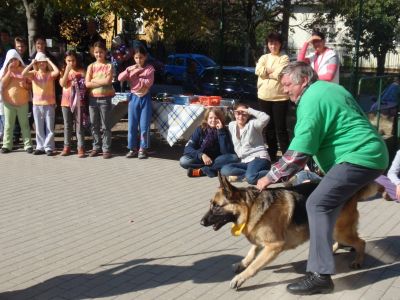 Klikni za ogled večje slike