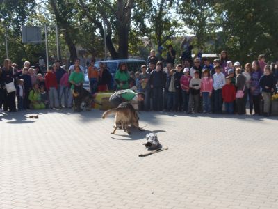 A teljes méretű képhez kattints ide