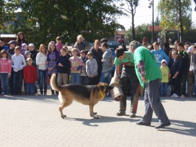 Натисніть, щоб побачити повний розмір