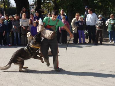 A teljes méretű képhez kattints ide