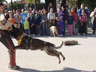 A teljes méretű képhez kattints ide