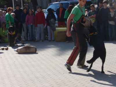 Click para ver la imagen a tamaño completo