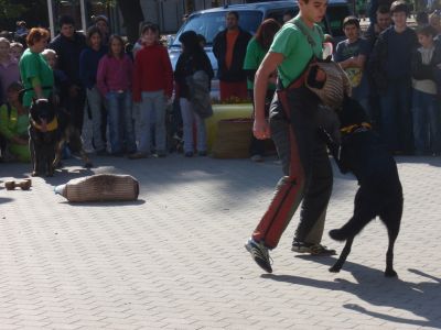 Κάντε κλικ για να δείτε την εικόνα σε πλήρες μέγεθος