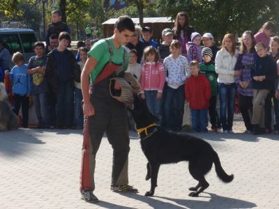 A teljes méretű képhez kattints ide