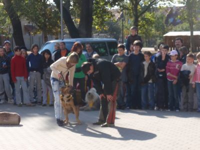 A teljes méretű képhez kattints ide