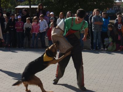 Klikni za ogled večje slike