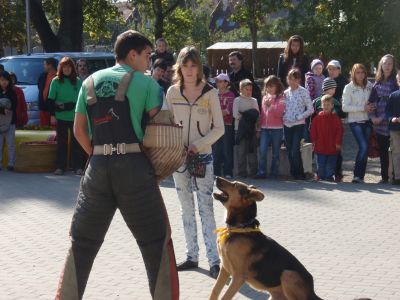 Kliknite da vidite sliku u punoj veličini