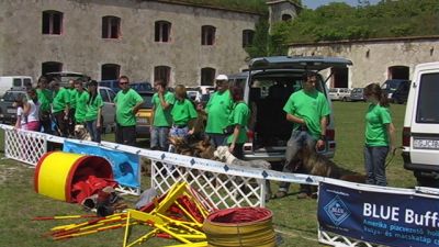 Premi per vedere l'immagine alla massima grandezza