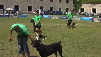 A teljes méretű képhez kattints ide