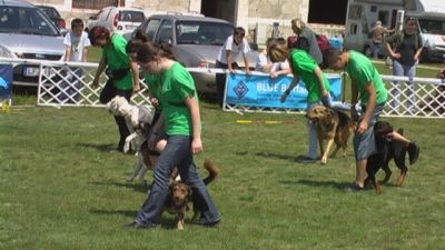 Premi per vedere l'immagine alla massima grandezza