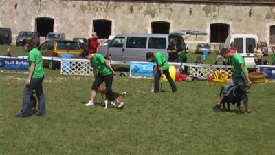 Kliknite da vidite sliku u punoj veličini
