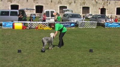 A teljes méretű képhez kattints ide