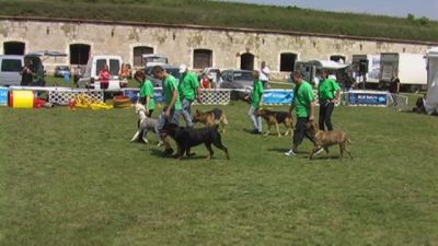 A teljes méretű képhez kattints ide