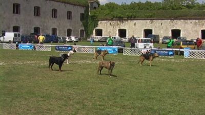 Натиснете за да видите снимката уголемена