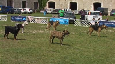 Κάντε κλικ για να δείτε την εικόνα σε πλήρες μέγεθος