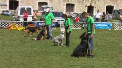 A teljes méretű képhez kattints ide