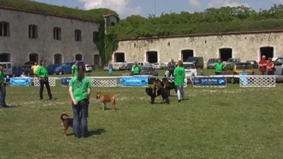 Premi per vedere l'immagine alla massima grandezza