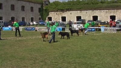 A teljes méretű képhez kattints ide