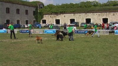 A teljes méretű képhez kattints ide