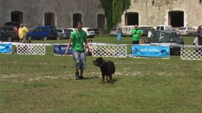 A teljes méretű képhez kattints ide