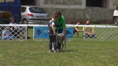 Tam boy resmi görebilmek için tıklayın