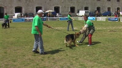 Pulsa para ver la imagen a tamaño completo