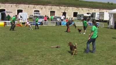 Klikni za ogled večje slike