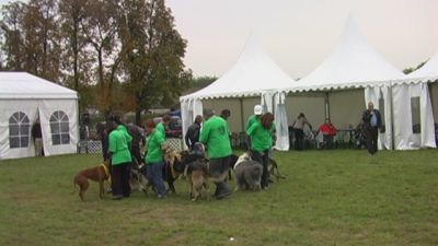 Smellið til að sjá mynd í fullri stærð