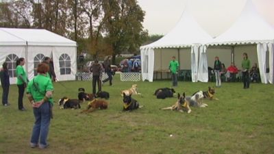 Kliknite da vidite sliku u punoj veličini