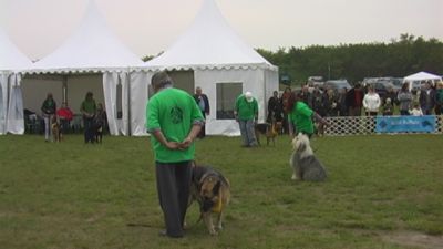 A teljes méretű képhez kattints ide