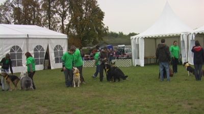 Smellið til að sjá mynd í fullri stærð