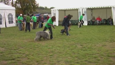 クリックでフルサイズのイメージを表示する