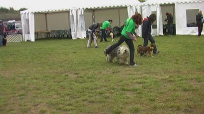 A teljes méretű képhez kattints ide