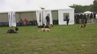 A teljes méretű képhez kattints ide