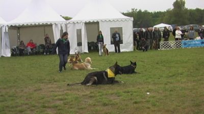 A teljes méretű képhez kattints ide