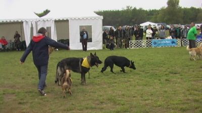 A teljes méretű képhez kattints ide