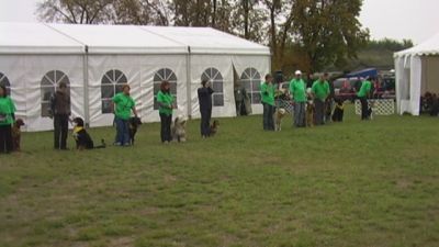 A teljes méretű képhez kattints ide