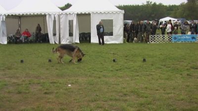 Натисніть, щоб побачити повний розмір