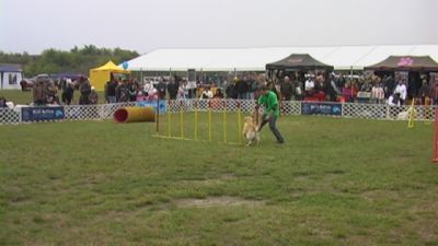 A teljes méretű képhez kattints ide