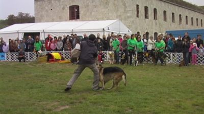 Premi per vedere l'immagine alla massima grandezza